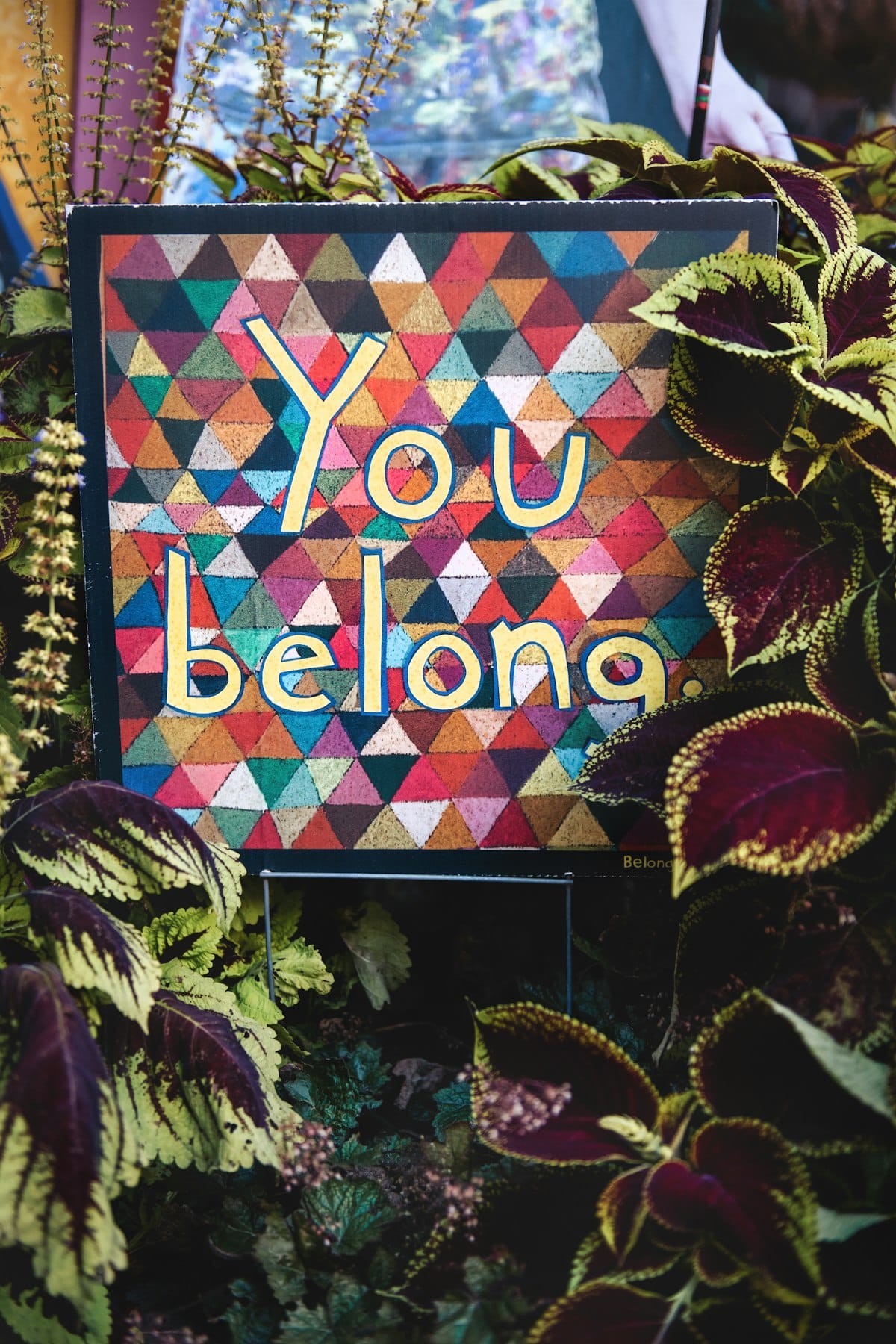 Belonging, Becoming, and What’s Ahead