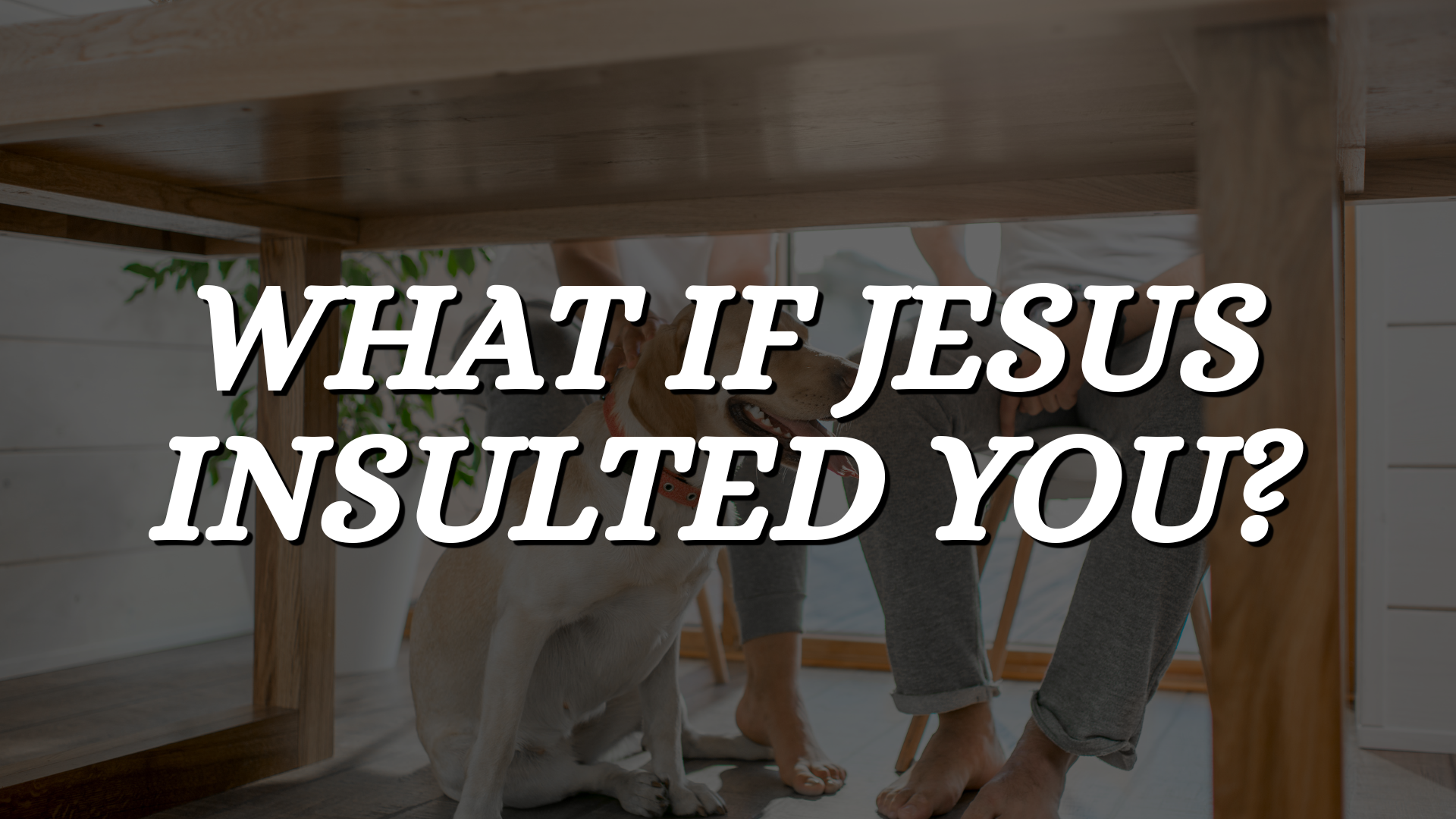 What if Jesus insulted you?