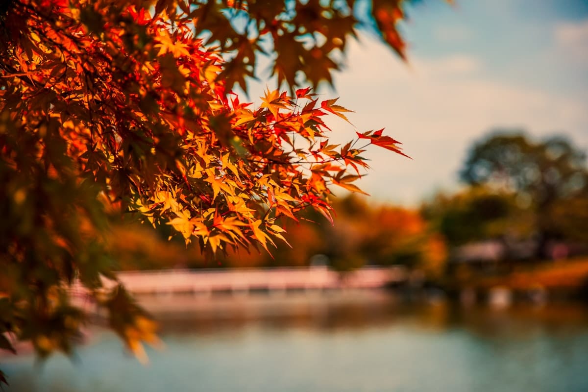 Seasons Change