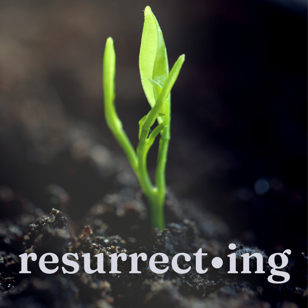 resurrect•ing vision