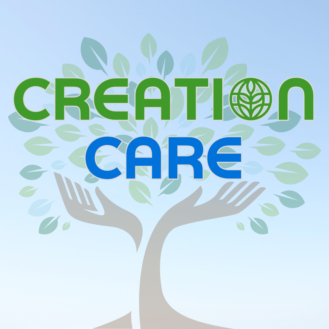 Creation Care: Humans & Animals